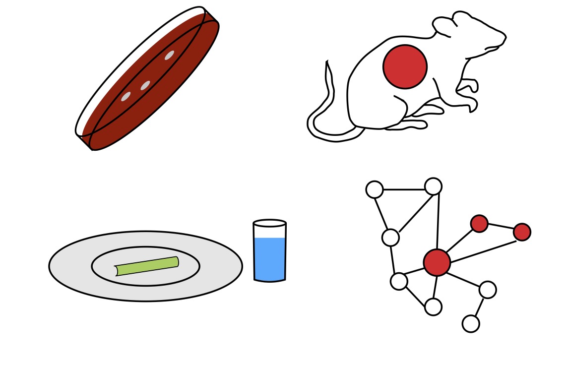 Diet-Microbe Interactions